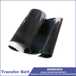 WorkCentre 7525 Transfer Belt